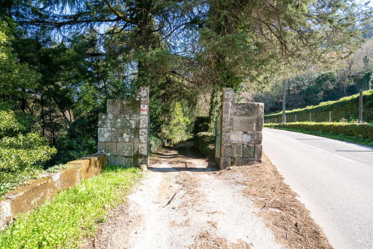 Quinta Das Lamas - Antiga Adega Vouzela Eksteriør billede